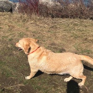 Meet your Posher, Mary ann